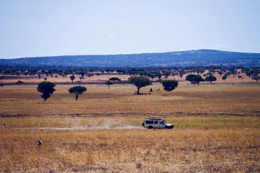 viagem com tudo pago para África