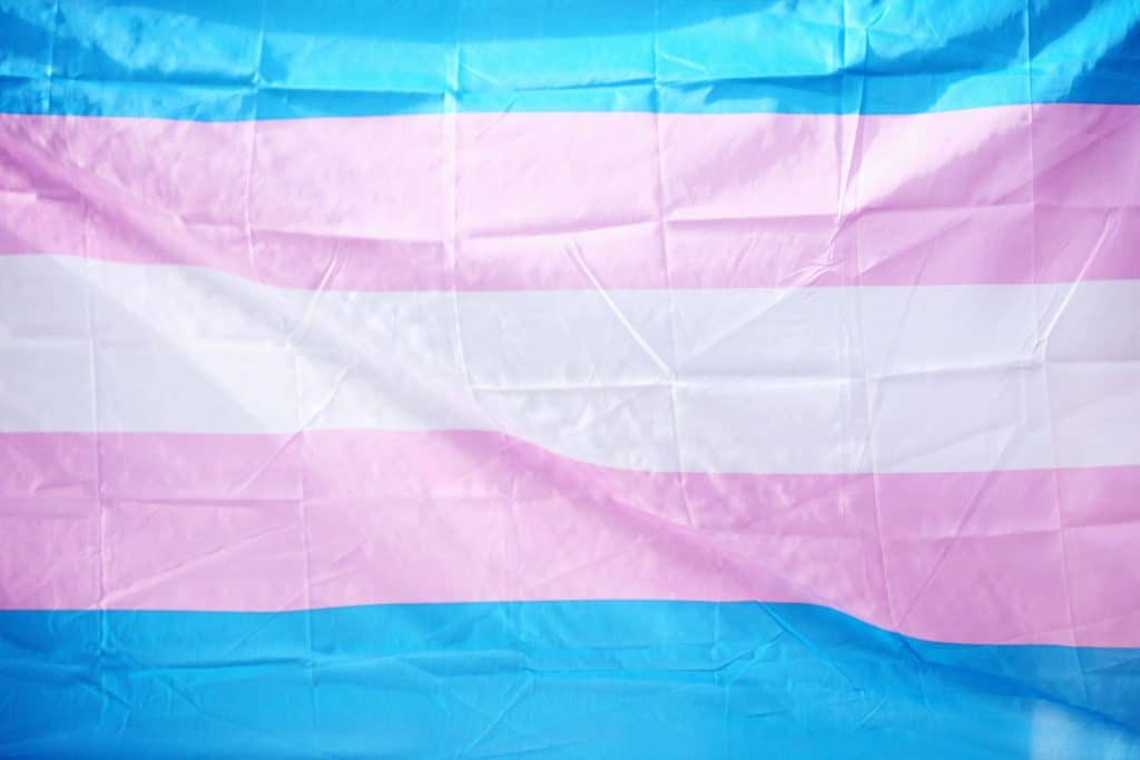 bolsa onu para pessoas trans ativistas trans partiu intercambio