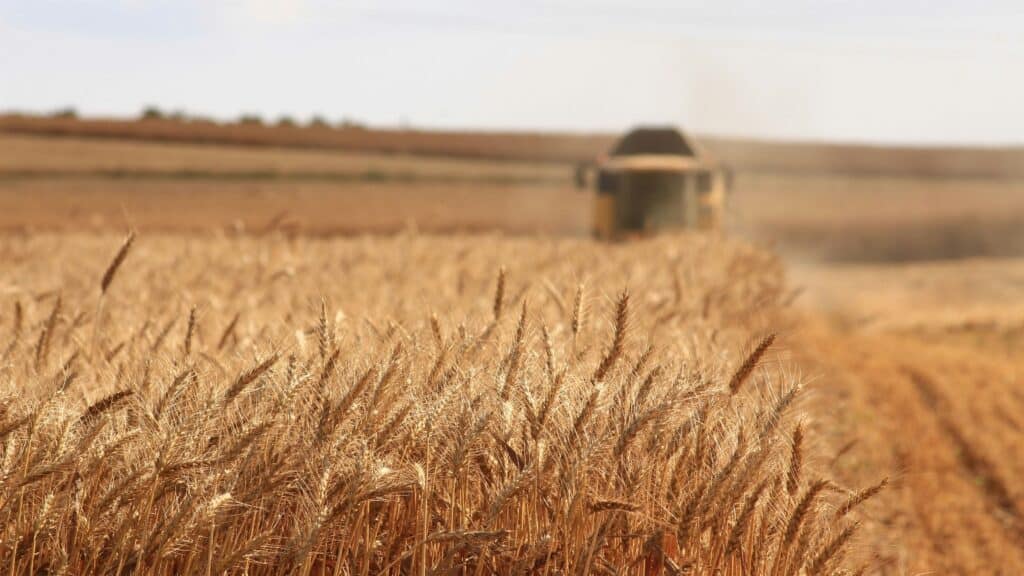 doutorado em agricultura