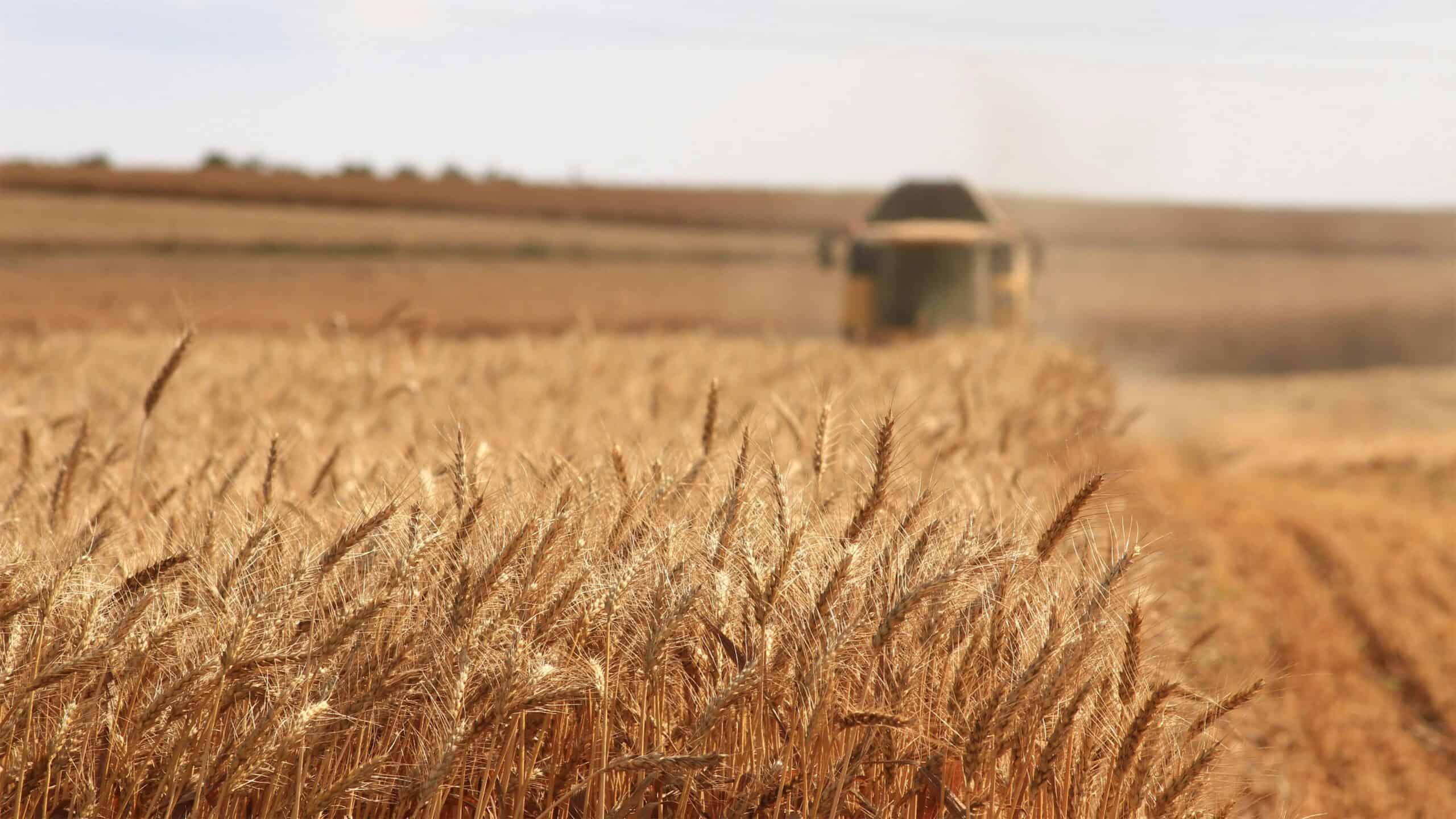 doutorado em agricultura