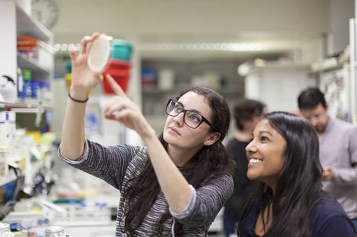 intercambio biologia vienna center