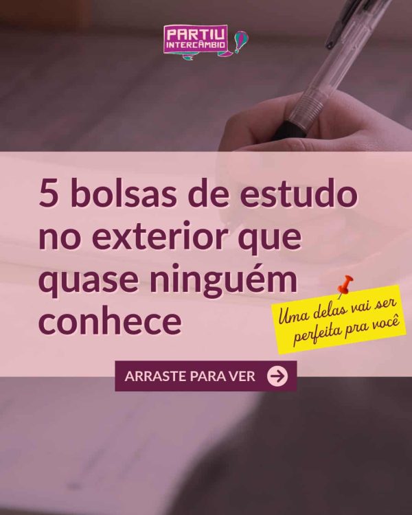 6 bolsas e mentoria-1