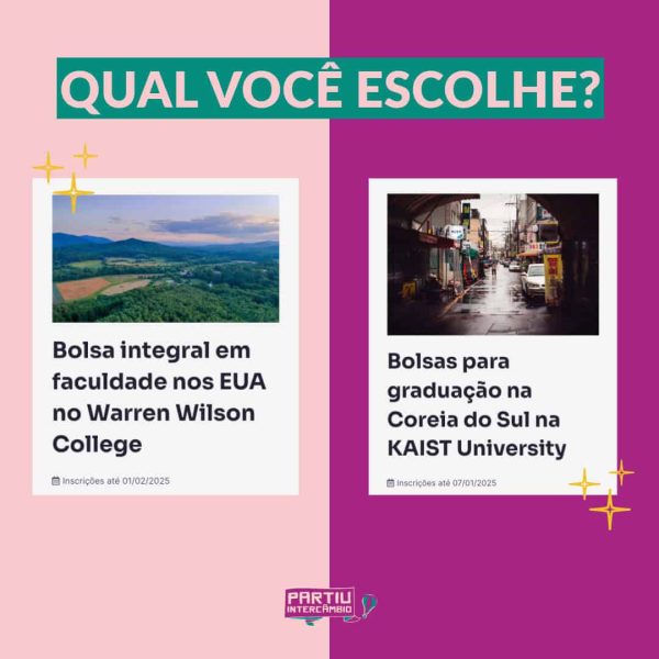 Qual você escolhe?